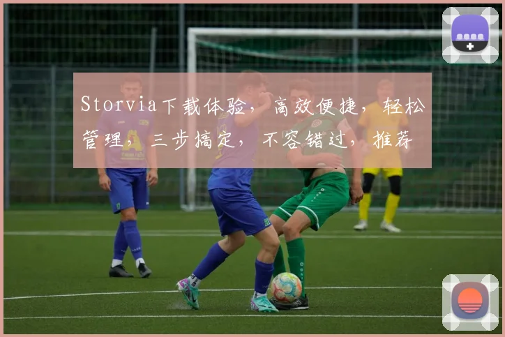 Storvia下载体验，高效便捷，轻松管理，三步搞定，不容错过，推荐收藏