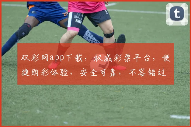 双彩网app下载，权威彩票平台，便捷购彩体验，安全可靠，不容错过，立即下载