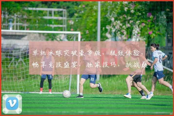 单机冰球突破豪华版，极致体验，畅享竞技盛宴，独家技巧，挑战巅峰，不容错过