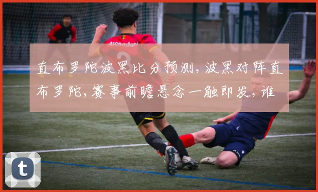 直布罗陀波黑比分预测,波黑对阵直布罗陀,赛事前瞻悬念一触即发,谁将笑到最后