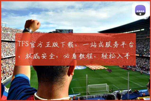 TFS官方正版下载，一站式服务平台，权威安全，必看教程，轻松入手