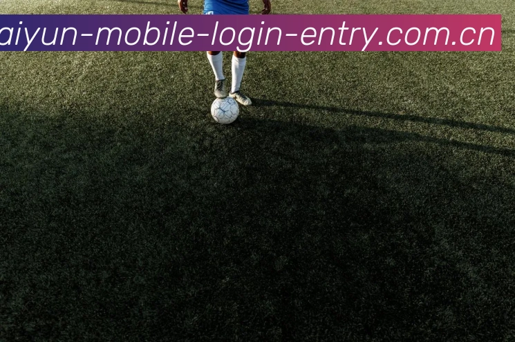 开云手机登录入口全站App